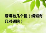 蜻蜓有几个腿（蜻蜓有几对翅膀）