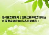 如何养喜鹊雏鸟（喜鹊盆栽养殖方法和注意 喜鹊盆栽养殖方法和注意哪些）