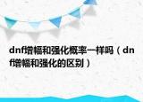 dnf增幅和强化概率一样吗（dnf增幅和强化的区别）