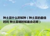 种土豆什么时候种（种土豆的最佳时间 种土豆哪时候最合适呢）