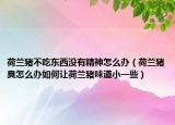 荷兰猪不吃东西没有精神怎么办（荷兰猪臭怎么办如何让荷兰猪味道小一些）