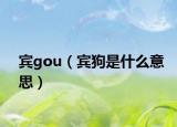 宾gou（宾狗是什么意思）