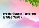 prodrafts好用吗（prodrafts付费是永久的吗）