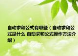 自动求和公式有哪些（自动求和公式是什么 自动求和公式操作方法介绍）