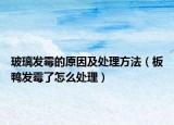 玻璃发霉的原因及处理方法（板鸭发霉了怎么处理）