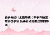 新手养殖什么最赚钱（新手养殖注意哪些事项 新手养殖需要注意的事项）