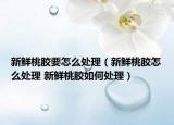 新鲜桃胶要怎么处理（新鲜桃胶怎么处理 新鲜桃胶如何处理）