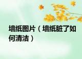 墙纸图片（墙纸脏了如何清洁）