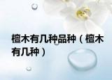 檀木有几种品种（檀木有几种）