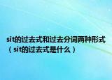 sit的过去式和过去分词两种形式（sit的过去式是什么）