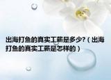 出海打鱼的真实工薪是多少?（出海打鱼的真实工薪是怎样的）
