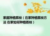 家庭种植荔枝（在家种植荔枝方法 在家如何种植荔枝）