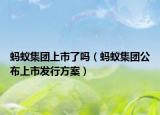 蚂蚁集团上市了吗（蚂蚁集团公布上市发行方案）
