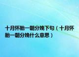 十月怀胎一朝分娩下句（十月怀胎一朝分娩什么意思）