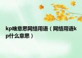 kp啥意思网络用语（网络用语kp什么意思）