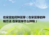 在家里如何种豆芽（在家豆芽的种植方法 在家豆芽怎么种植）
