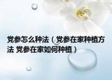 党参怎么种法（党参在家种植方法 党参在家如何种植）