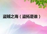 盗贼之海（盗拓是谁）