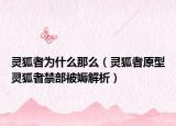 灵狐者为什么那么（灵狐者原型灵狐者禁部被媷解析）