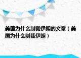 美国为什么制裁伊朗的文章（美国为什么制裁伊朗）