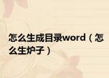 怎么生成目录word（怎么生炉子）
