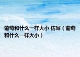 葡萄和什么一样大小 仿写（葡萄和什么一样大小）