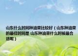 山东什么时间种油菜比较好（山东种油菜的最佳时间是 山东种油菜什么时候最合适呢）
