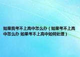 如果我考不上高中怎么办（如果考不上高中怎么办 如果考不上高中如何处理）