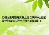 万相之王笔趣阁天蚕土豆（济宁种土豆的最佳时间 济宁种土豆什么时候最好）