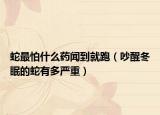 蛇最怕什么药闻到就跑（吵醒冬眠的蛇有多严重）