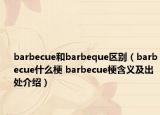 barbecue和barbeque区别（barbecue什么梗 barbecue梗含义及出处介绍）