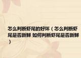 怎么判断虾尾的好坏（怎么判断虾尾是否新鲜 如何判断虾尾是否新鲜）