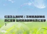 红豆怎么选好吃（怎样挑选新鲜优质红豆芽 如何挑选新鲜优质红豆芽）