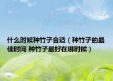什么时候种竹子合适（种竹子的最佳时间 种竹子最好在哪时候）