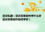 剑灵私服（剑灵采集制作学什么好 剑灵采集制作如何学好）