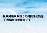 只今只道只今句（如何挑选优质栀子 怎样挑选优质栀子）