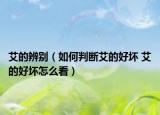 艾的辨别（如何判断艾的好坏 艾的好坏怎么看）
