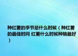 种红薯的季节是什么时候（种红薯的最佳时间 红薯什么时候种植最好）