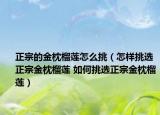 正宗的金枕榴莲怎么挑（怎样挑选正宗金枕榴莲 如何挑选正宗金枕榴莲）