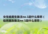 女生给男生备注no.1是什么意思（给男朋友备注no.1是什么意思）