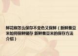 鲜花椒怎么保存不变色又保鲜（新鲜蚕豆米如何保鲜储存 新鲜蚕豆米的保存方法介绍）