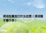 漠河在黑龙江什么位置（漠河属于哪个市）