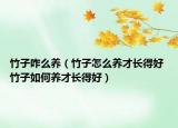 竹子咋么养（竹子怎么养才长得好 竹子如何养才长得好）
