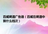 百威啤酒广告语（百威在啤酒中算什么档次）