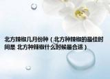 北方辣椒几月份种（北方种辣椒的最佳时间是 北方种辣椒什么时候最合适）