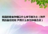 我国的粮食种植以什么季节粮为主（种芦蒿的最佳时间 芦蒿什么季节种植合适）