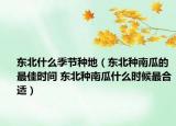 东北什么季节种地（东北种南瓜的最佳时间 东北种南瓜什么时候最合适）