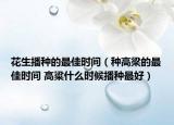 花生播种的最佳时间（种高梁的最佳时间 高粱什么时候播种最好）