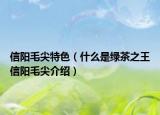 信阳毛尖特色（什么是绿茶之王信阳毛尖介绍）