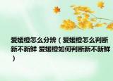 爱媛橙怎么分辨（爱媛橙怎么判断新不新鲜 爱媛橙如何判断新不新鲜）
